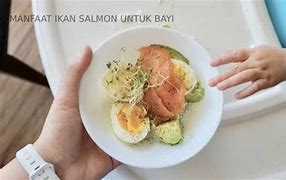 Ikan Salmon Untuk Mpasi